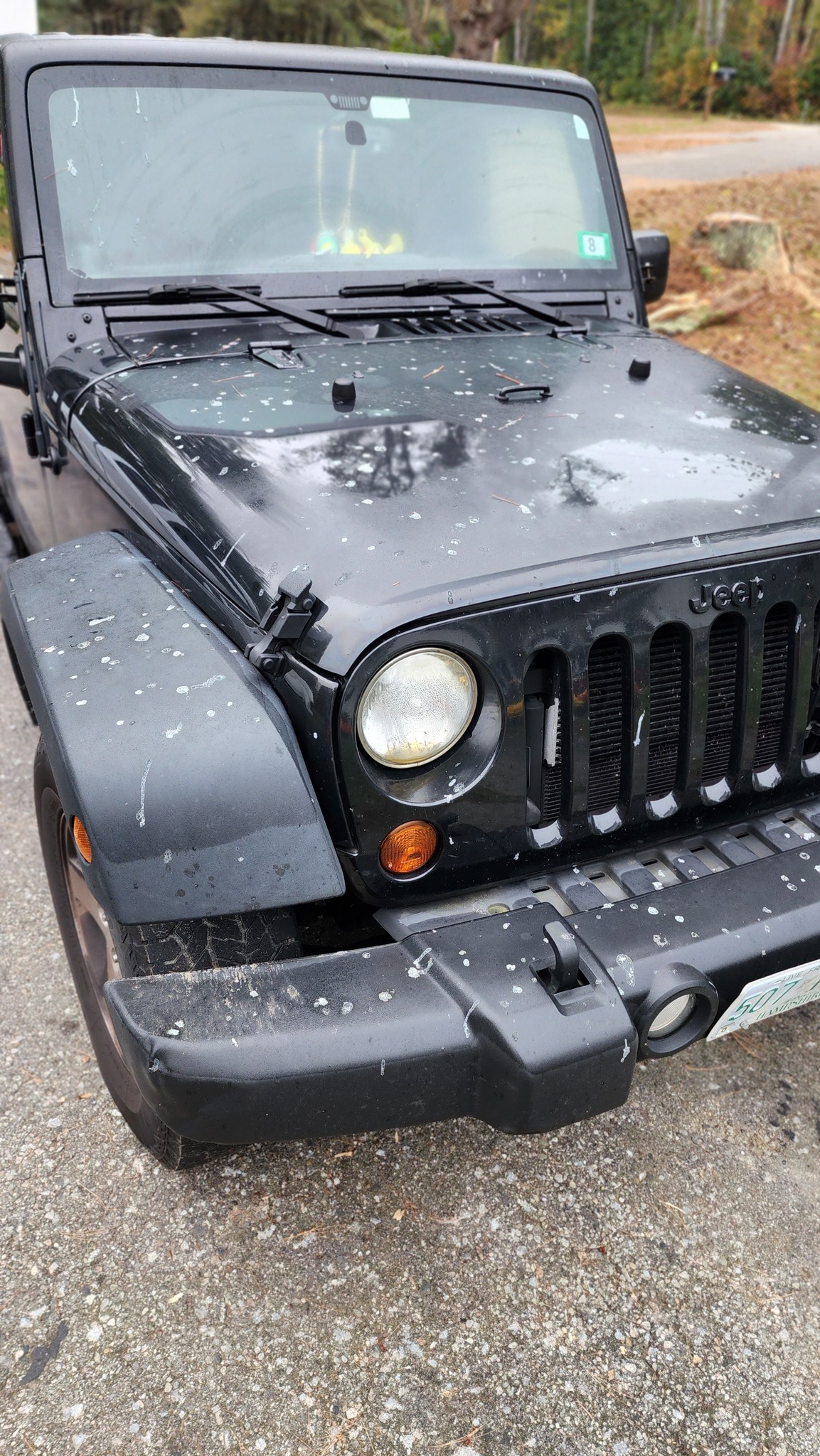 Jeep before detailing